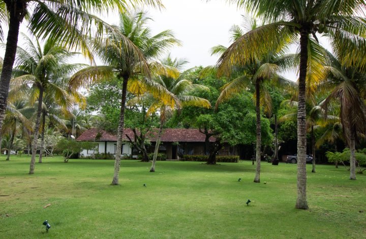 A Fazenda
